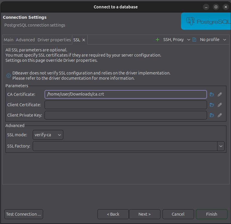 Screenshot of DBeaver SSL configuration page